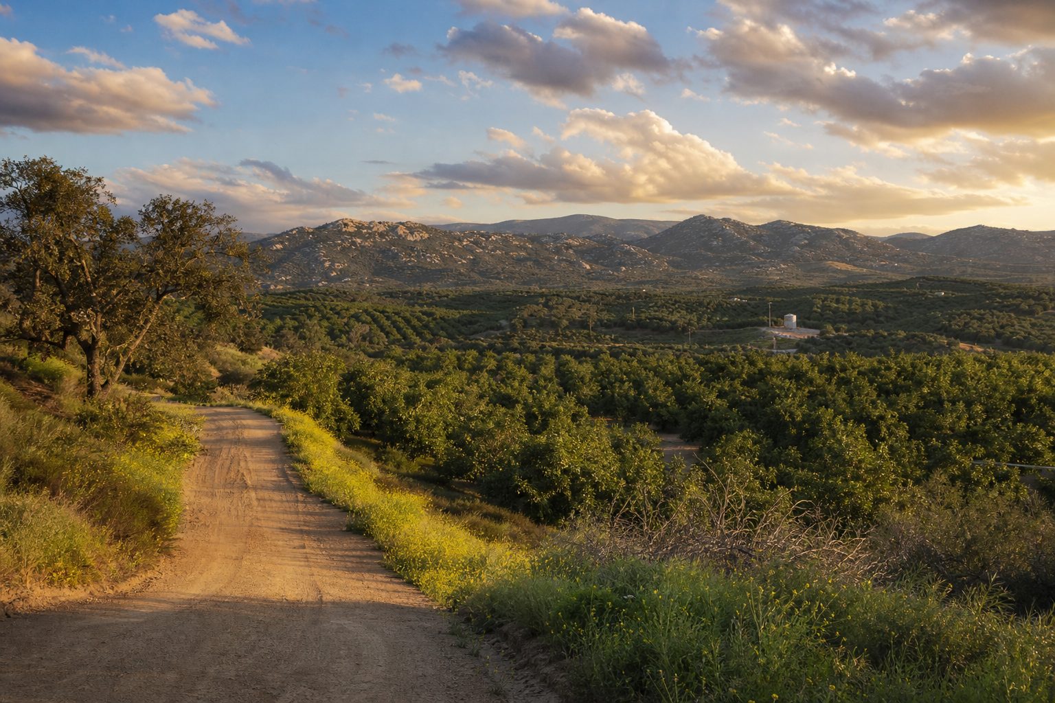 Ag Loan Financing Options for Buying a Farm or Ranch in Ramona San Diego