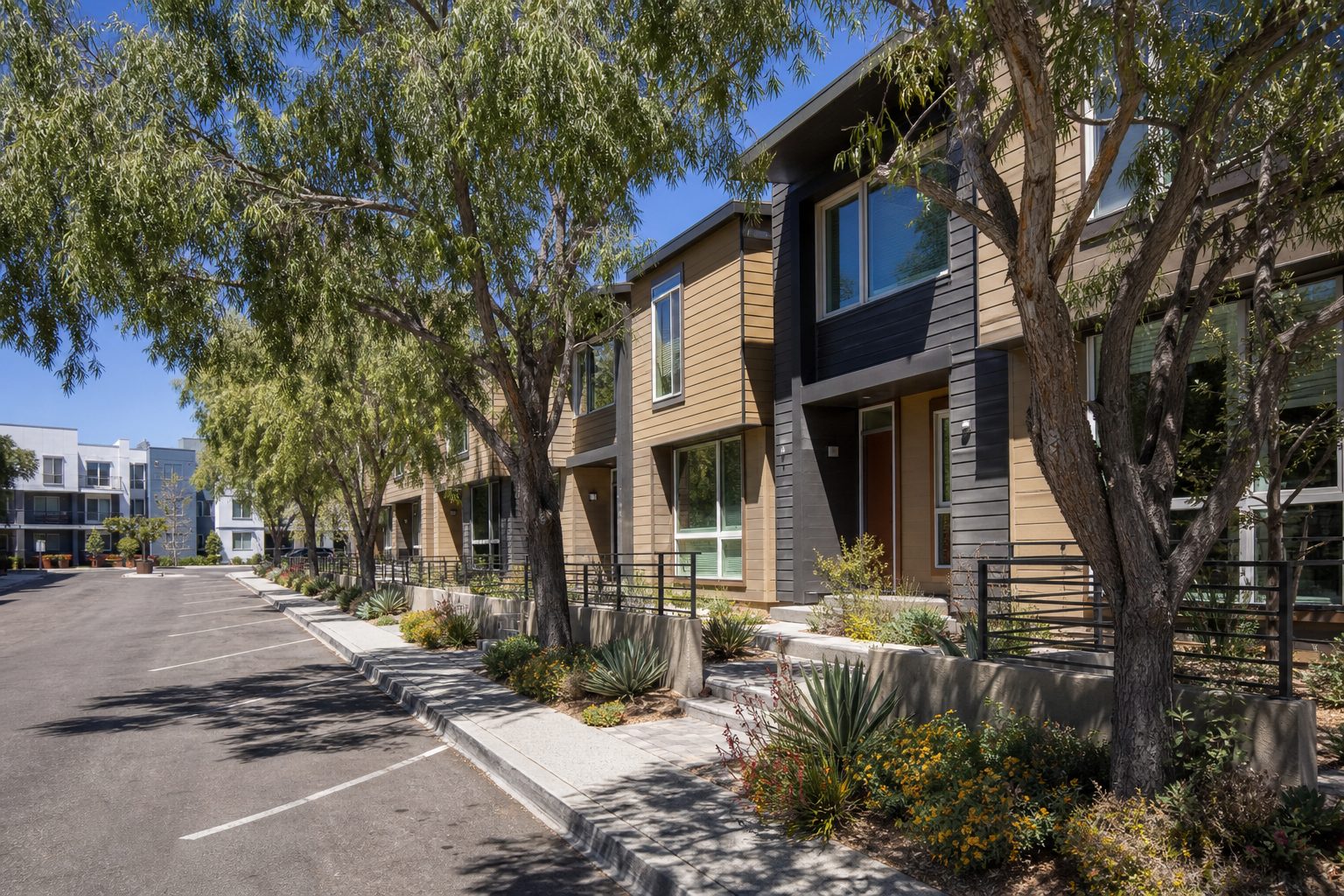 Row of modern attached townhomes with native landscaping and mature pepper trees in Kearny Mesa's 92111 ZIP code neighborhood.